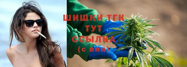 стаф Осинники
