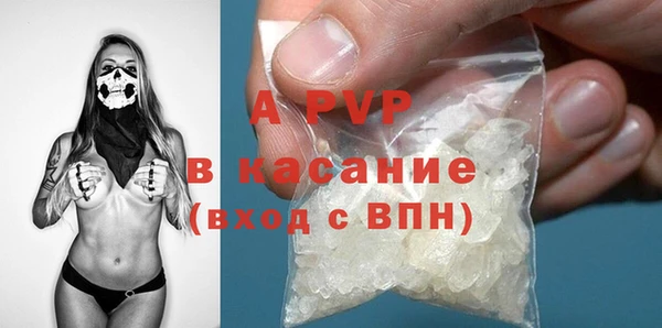 стаф Осинники