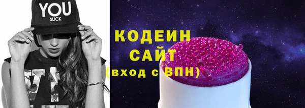 ECSTASY Пересвет