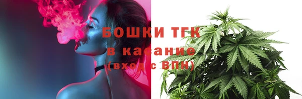 стаф Осинники