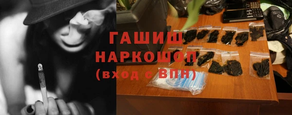 стаф Осинники