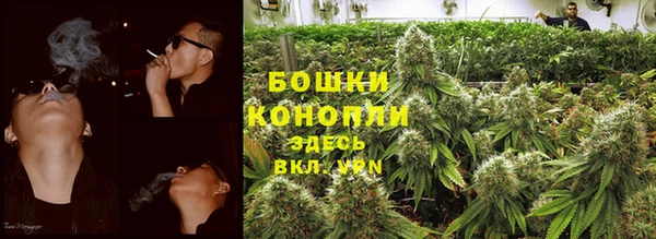 спиды Пестово