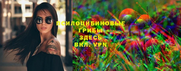 ECSTASY Пересвет