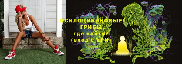 стаф Осинники