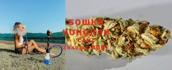 спиды Пестово