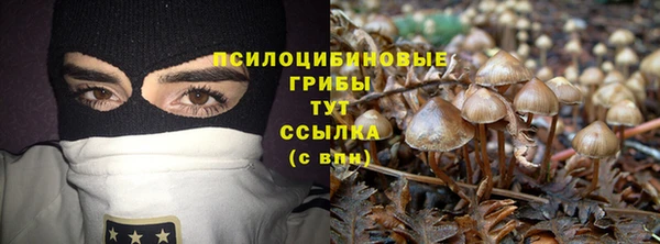 спиды Пестово